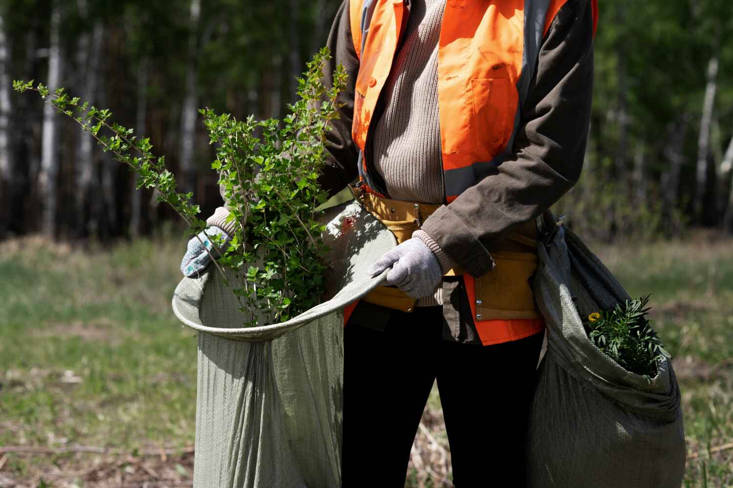 Best Tree Clearing Services  in USA